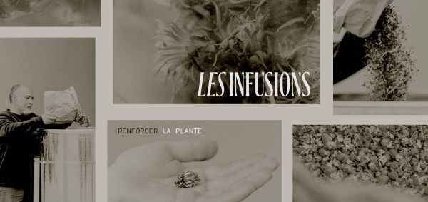 rauzan_collage_infusions