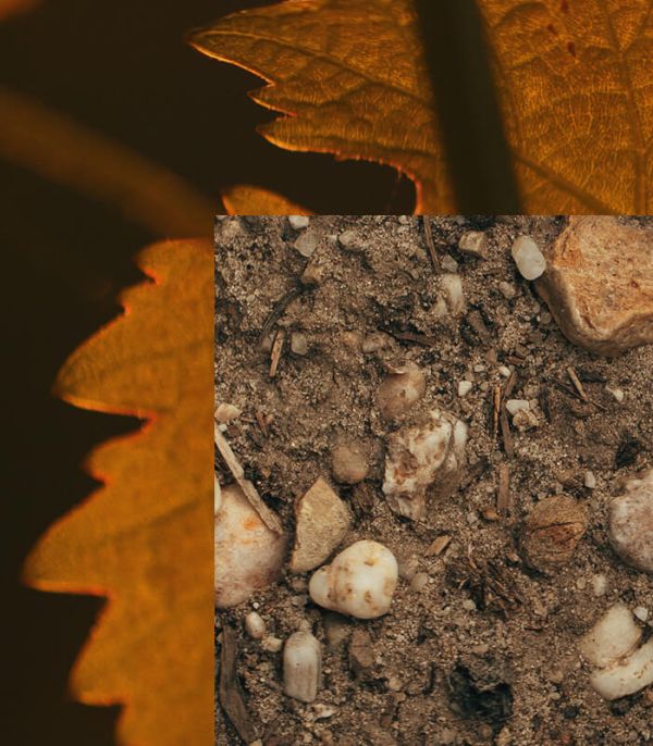 Média double les sols de Rauzan