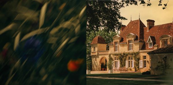 Double image château Rauzan-Ségla